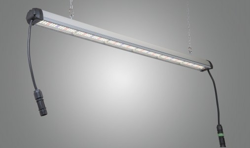 BL120 single NS1